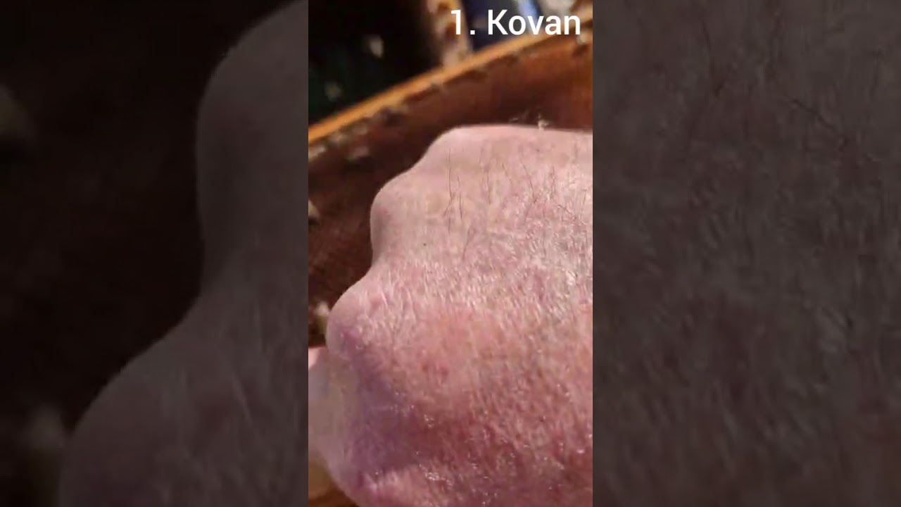 BU ÇALIŞMALAR 2026 SEZONU 