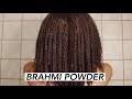 Giving Brahmi Powder a GO for the FIRST Time!! | Triniti Alysse