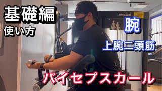 Bicep Curls Basics: How to Use the Machine and Train Your Arms