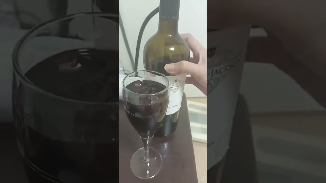 DRINKING WINE WITH CHEESE AND COOKIES 