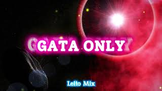FloyyMenor FT Cris MJ - GATA ONLY (Remix) - Leito Mix