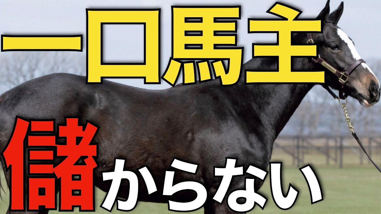 一口 馬主 儲から ない