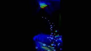 C. Finster - The Sound Of Silence screenshot 5
