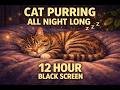 Cat Purring all Night Long🐱 | Black Screen 💤 Sleep Sound for Deep Sleep, Relaxation & Anxiety Relief