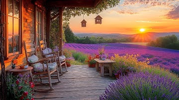 Lavender Farm Porch Ambience | Sweet Birdsong & Gentle Windchimes in the Summer Breeze