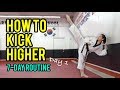 How to kick higher stretches  drills day 1 routine