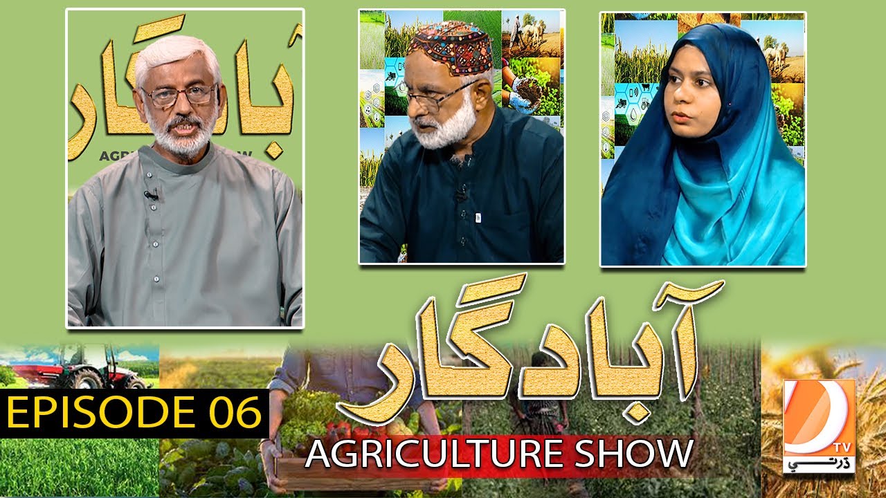 Abadgar (The Agriculture Show) Episode 06 | Host: Ayaz Gaad | Dharti Tv