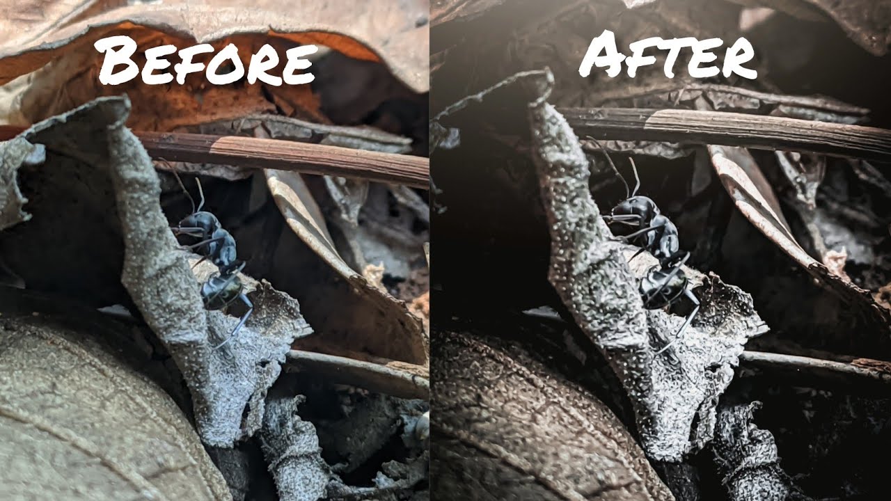 Macro Photography | Lightroom Editing Tutorial | Smartphone | Google Camera | Without Lens