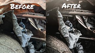 Macro Photography | Lightroom Editing Tutorial | Smartphone | Google Camera | Without Lens screenshot 1