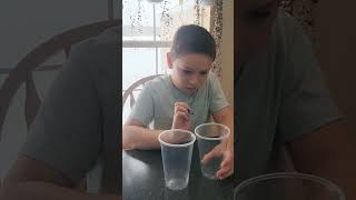 Water Evaporation Science Experiment Part 1 - Day 1 #scienceexperiment #science kids
