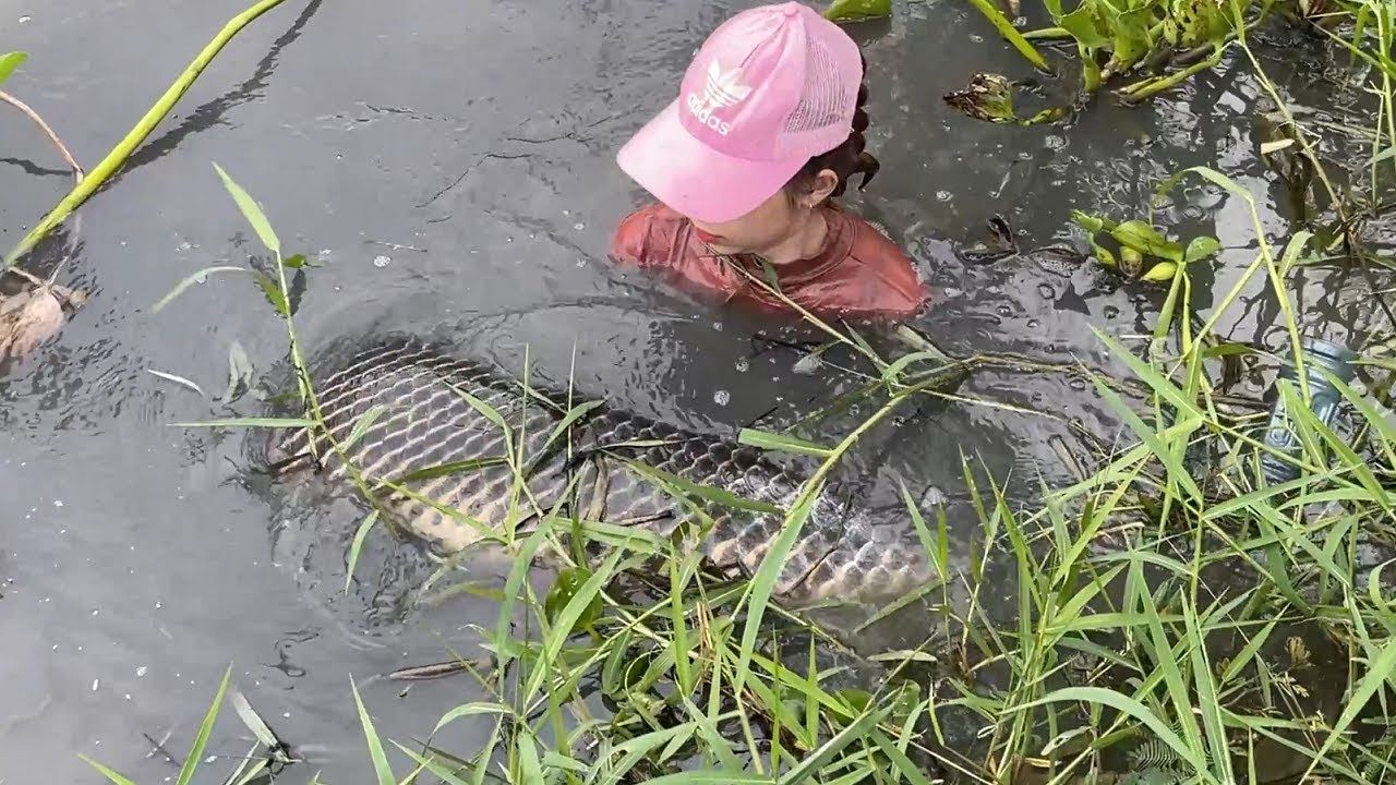 Поимка самой большой в мире рыбы-дракона весом 75 кг с помощью гуидака