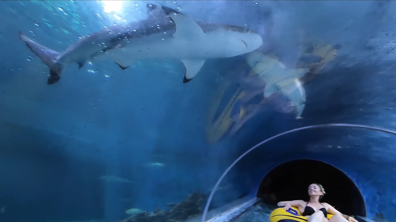 【恐怖】サメが泳ぐ水槽の中を通り抜けるウォータースライダー【ポーランド】