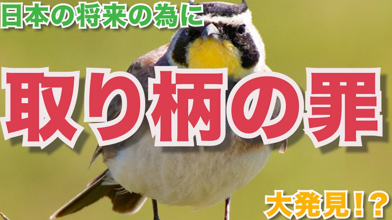 〇〇が原因で取り柄が人を苦しめている！？ - YouTube