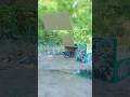 😱 Curiosity Style You Won’t Believe This Cardboard Pigeon Trap! 🐦📦 Easy Method😱#pigeontrap #birdtrap
