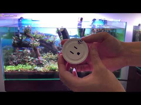 Video Sử dụng ổ cắm hẹn giờ thông minh - phòng ngừa rêu hại... - youtube