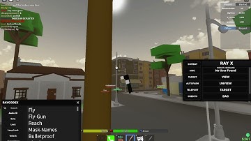 Raycodex and the new script Rayx are the most op things!!