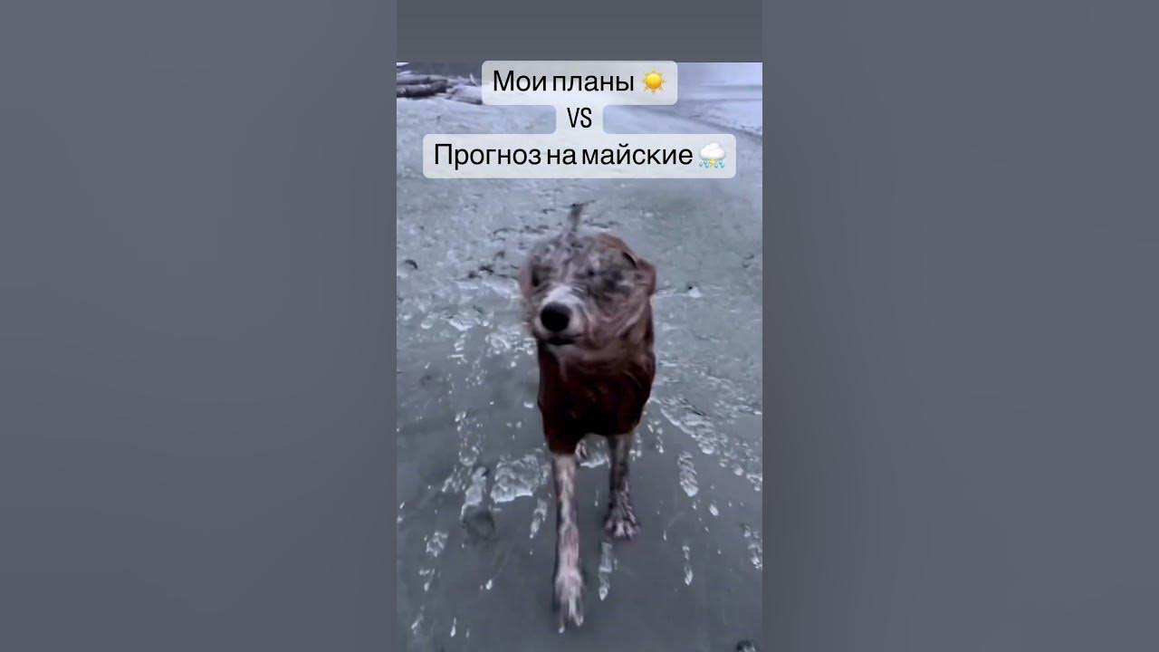 Погода на майские - YouTube