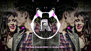 Tera Fitoor Extended REMiX | DJ Amyth | PUNU |