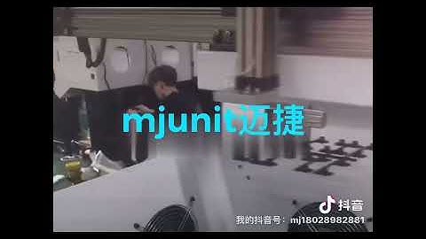 mjunit XZ axis horizontal moving and lifting structure precision synchronous belt guide rail, 2 slid