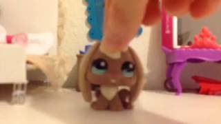 Redcollieproductions 2016 Lps Collection Video