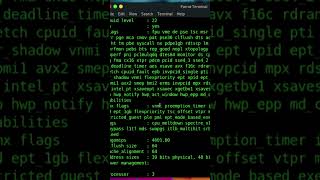 command to see the cpu information in Linux #hacker #command #cpuinfo