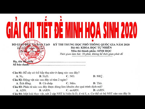 Video Giải Chi Tiết Đề Minh Họa Môn SINH HỌC Năm 2020 Của Bộ... - youtube