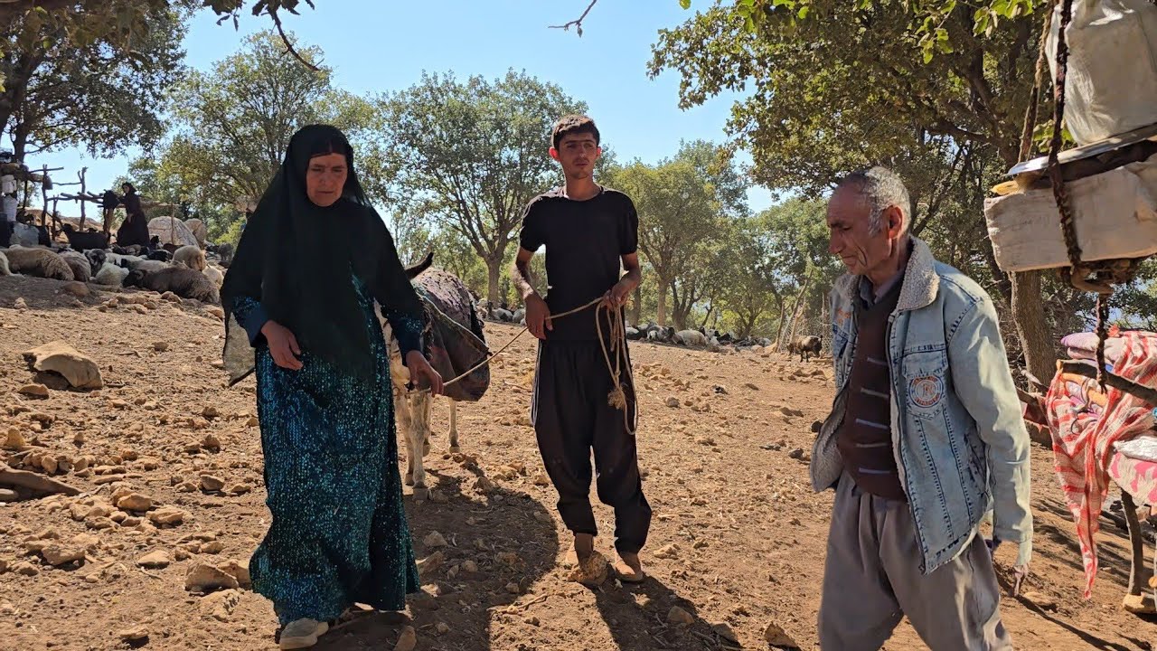 Джамшид и его мать отправляются в горы, чтобы начать миграцию.