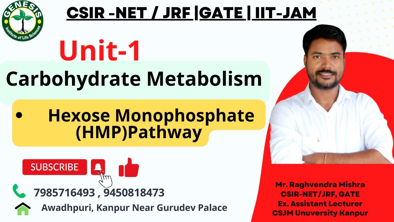 Metabolism of carbohydrates | Hexose Monophosphate Pathway | HMP Pathway | L-13