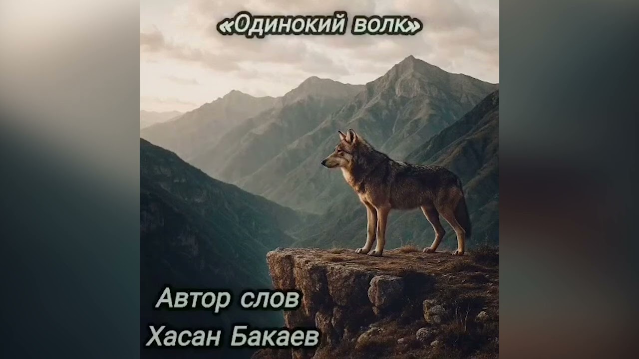 ОДИНОКИЙ ВОЛК