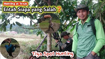 Entah Siapa yang Salah⁉️Spot Berburu Ruak-ruak yang Diganggu Pemancing
