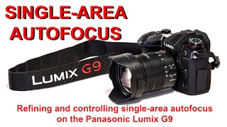 PANASONIC LUMIX G9: Refining and controlling your single-area autofocus.