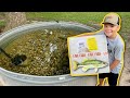 We Bought 1,000 Live Fish on Amazon! Feeding Pet Bass!