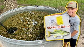 We Bought 1,000 Live Fish on Amazon! Feeding Pet Bass!