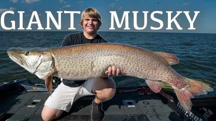 HE WON A FREE GUIDE TRIP (Giant Green Bay Musky)