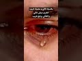 أحبب حبيبك هونا عسى أن يكون بغيظك يوما ما أحبب حبيبك هونا عسى أن يكون بغيظك يوما ما