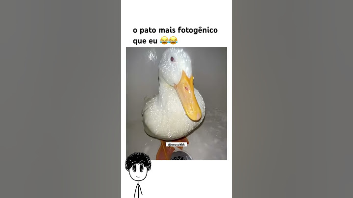 o pato mais fotogênico que eu 😂😂
