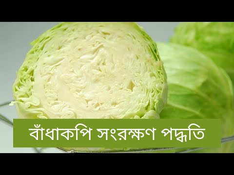 ভিডিও: বাঁধাকপি কীভাবে সংরক্ষণ করবেন