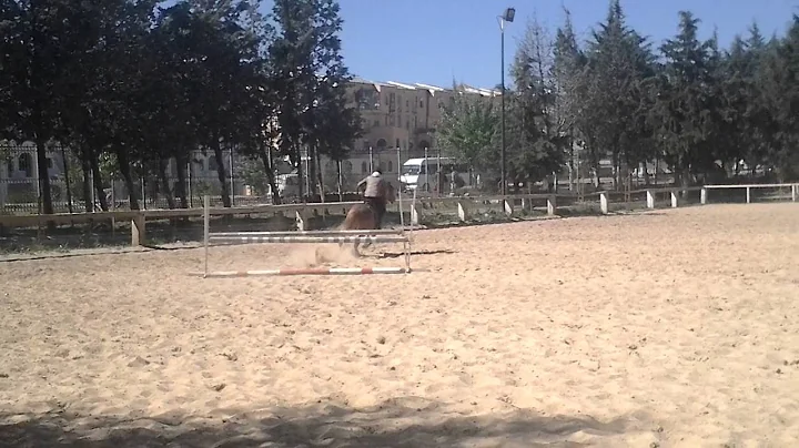 Karim Daoud