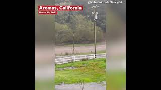 Watch: Atmospheric River Storm And Flooding Runs Rampant In California