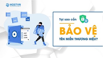 Tại sao cần bảo vệ tên miền thương hiệu trên internet? | HOSTVN