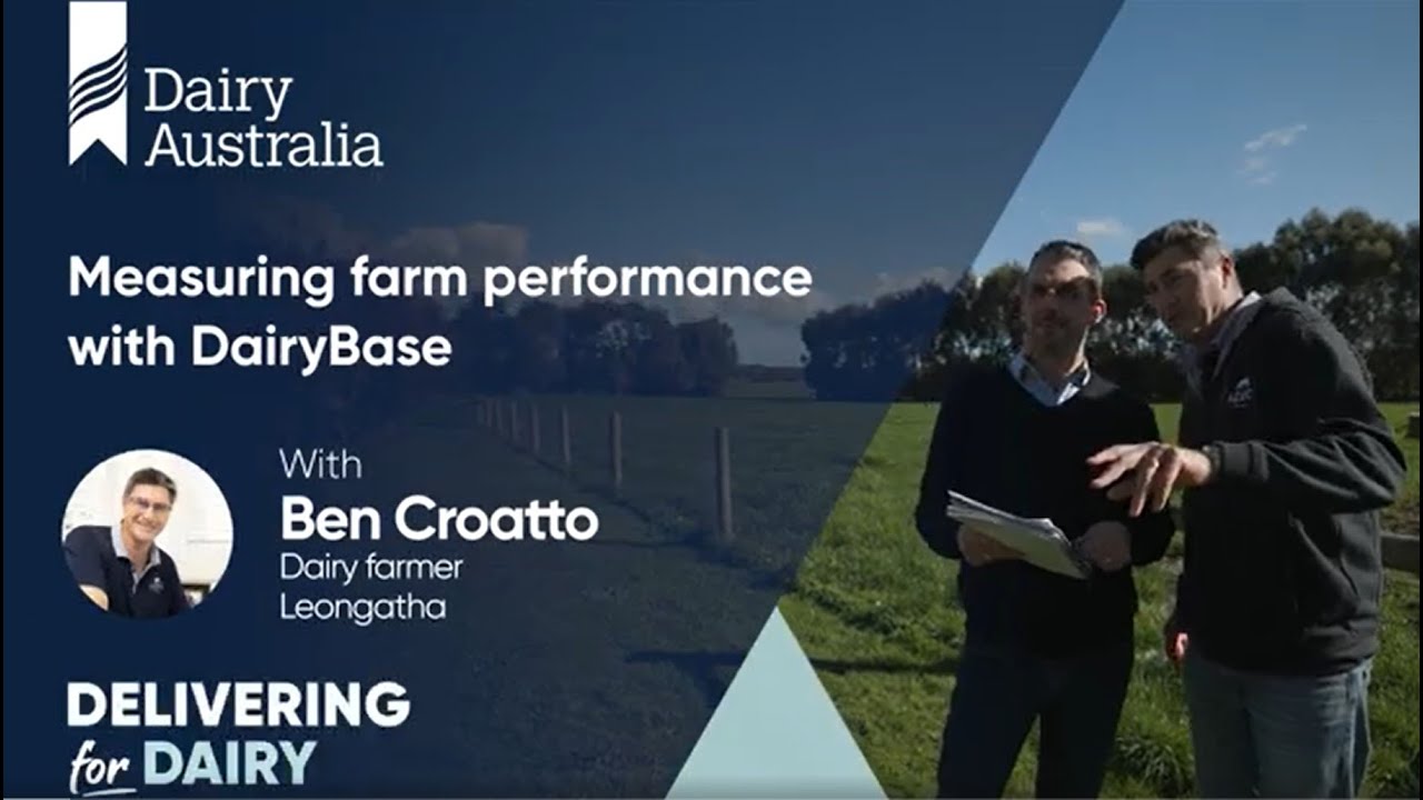 Measuring farm performance with DairyBase - YouTube