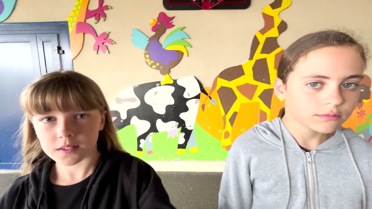 Le conseil municipal des jeunes de Manéglise