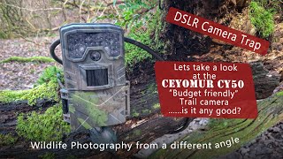 Download Lagu Taking a look at the Ceyomur CY 50 Trail camera MP3