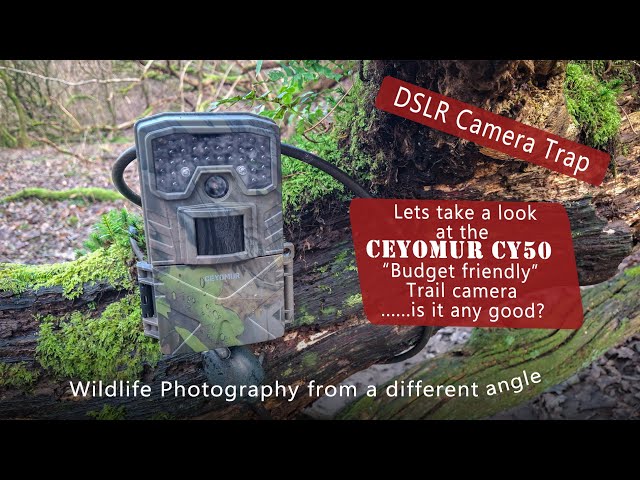 Taking a look at the Ceyomur CY 50 Trail camera - YouTube