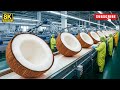 Inside a Modern Coconut Factory | From Fresh Coconuts to Premium Coconut Water (Full Documentry)