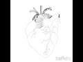 『Heart』 #ibispaintx #illustration #イラスト#ペン画 #イラスト練習 #イラストメイキング #アイビス #イラスト制作 #心臓