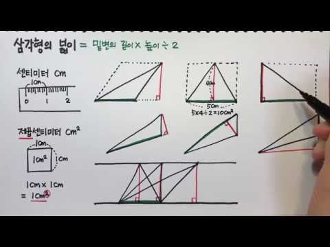  Update  삼각형의 넓이 구하는 방법 (초등수학)