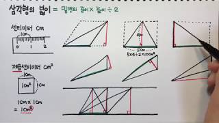삼각형의 넓이 구하는 방법 (초등수학) - Youtube