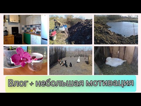 Одинокая черная хозяйка делает уборку на кухне в обнаженном виде онлайн