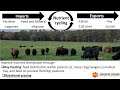 Nutrient recycling on pasture rerun  forage drops